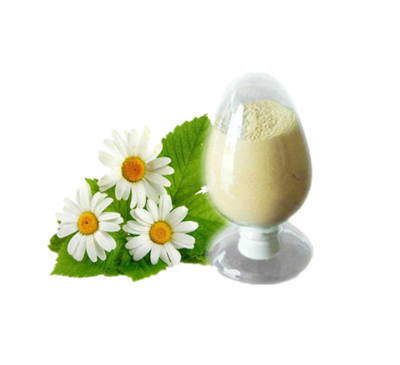 کرسنتھیمم موریفولیئم رمات ایکسٹریکٹ